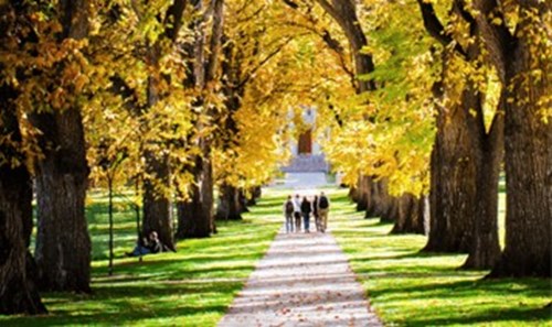 Gåture med Mindfulness